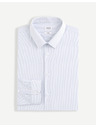 Celio Mansancar Ing