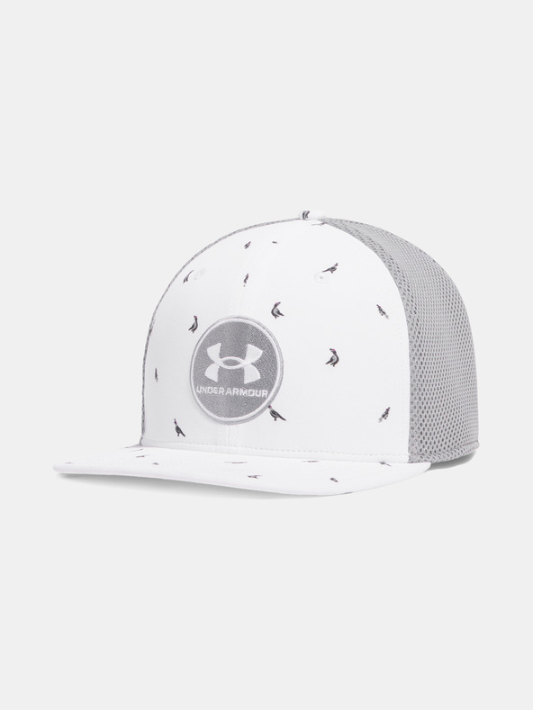 Under Armour Férfi baseball sapka Under Armour M DRIVE PM STR