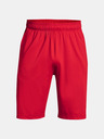 Under Armour Férfi rövidnadrágok Under Armour Raid 2.0 Shorts