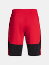 Under Armour Férfi rövidnadrágok Under Armour Raid 2.0 Shorts