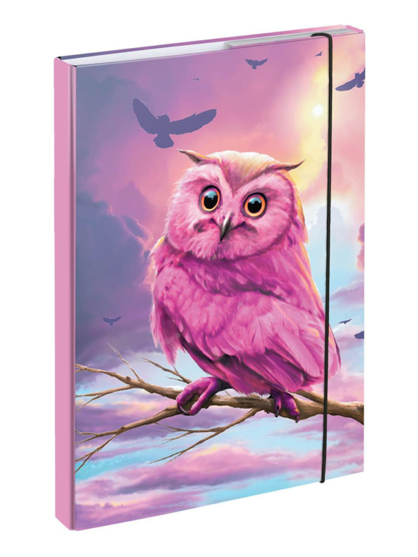 BAAGL  BAAGL Füzetborítók A4 Bagoly