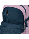 BAAGL  BAAGL Iskolai hátizsák Skate Rose GRS