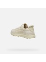 Geox Krémszínű férfi tornacipő Geox Spherica Plus Fast in