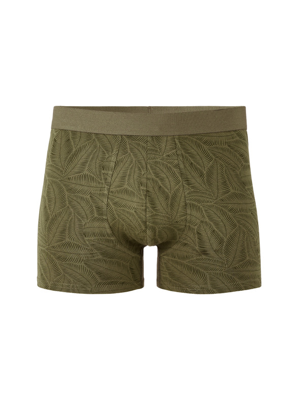 Celio Liboleaf boxer