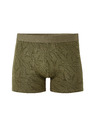 Celio Liboleaf boxer