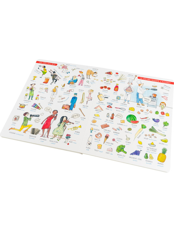 ELLA & MAX Nagy SZÓKINCS könyv kicsi meséieknek