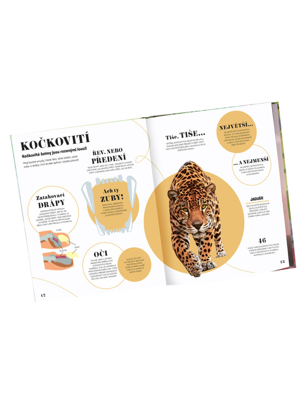 ELLA & MAX 5 PERC ÉS TUDOM: TERMÉSZET – 1000+ alapvető információ