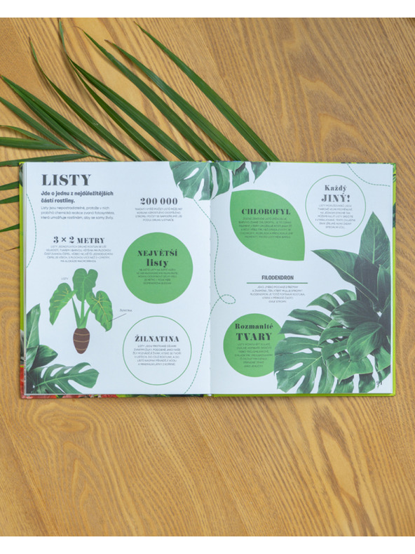 ELLA & MAX 5 PERC ÉS TUDOM: TERMÉSZET – 1000+ alapvető információ