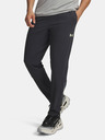 Under Armour Férfi sportnadrág Under Armour M Explor Trail Run Pant-GRY