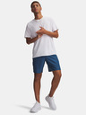 Under Armour Férfi rövidnadrágok Under Armour UA Tech Woven Wordmark Short
