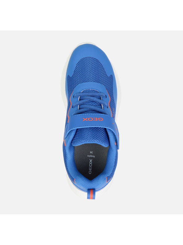 Geox Kék fiúk Geox Sprintye tornacipője