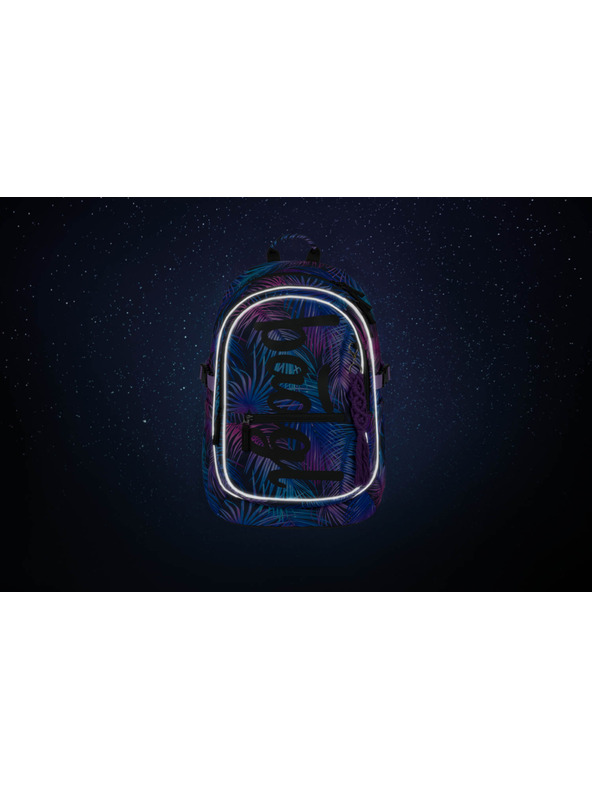 BAAGL  BAAGL Core Palm iskolatáska