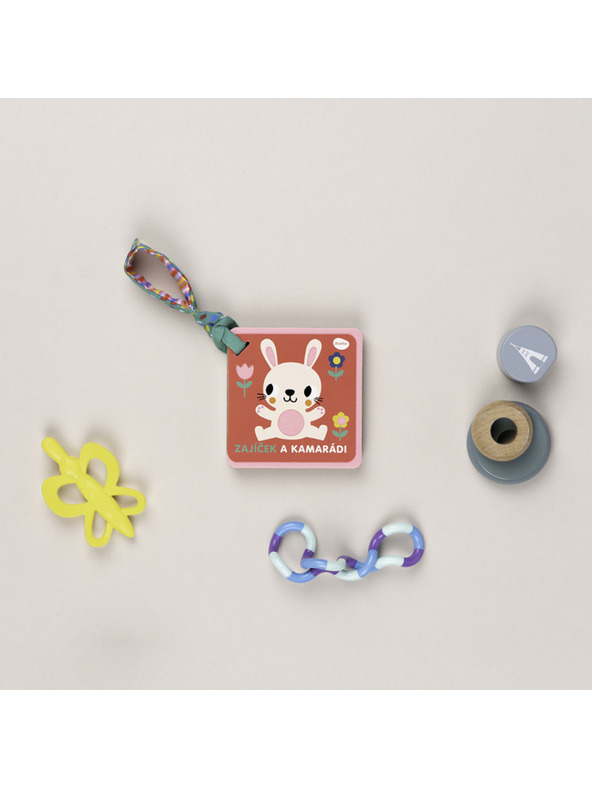 BAAGL  Babakocsiba való könyv – A NYUSZI ÉS BARÁTAI