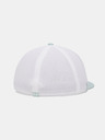 Under Armour Férfi baseball sapka Under Armour M Drive Mid STR