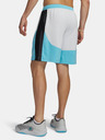 Under Armour Férfi rövidnadrágok Under Armour UA Hoops Splash Short