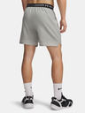 Under Armour Férfi rövidnadrágok Under Armour UA Vanish Woven 6in Shorts