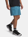 Under Armour Férfi rövidnadrágok Under Armour UA Vibe Woven Cargo Short