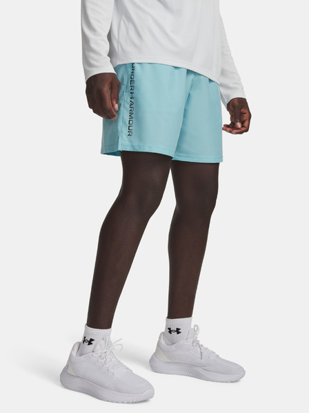 Under Armour Férfi rövidnadrágok Under Armour UA Tech Woven Wordmark Short