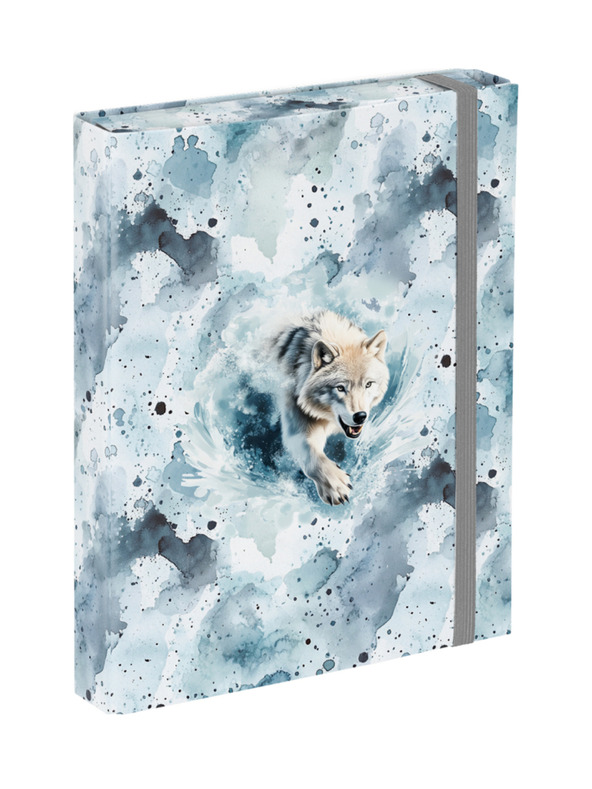 BAAGL  BAAGL Iskolai füzet borítók A5 Polar