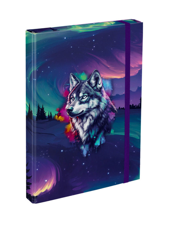 BAAGL  BAAGL Iskolai füzet borítók A4 Aurora