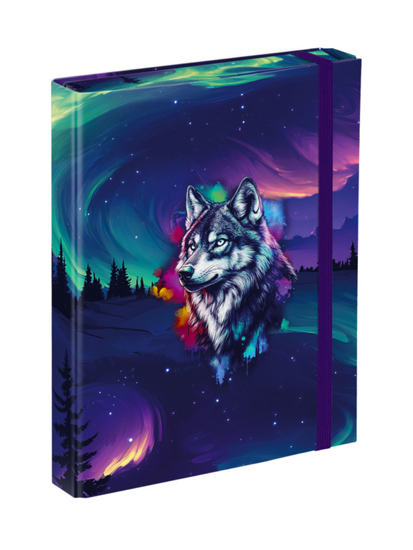 BAAGL  BAAGL Iskolai füzet borítók A5 Aurora