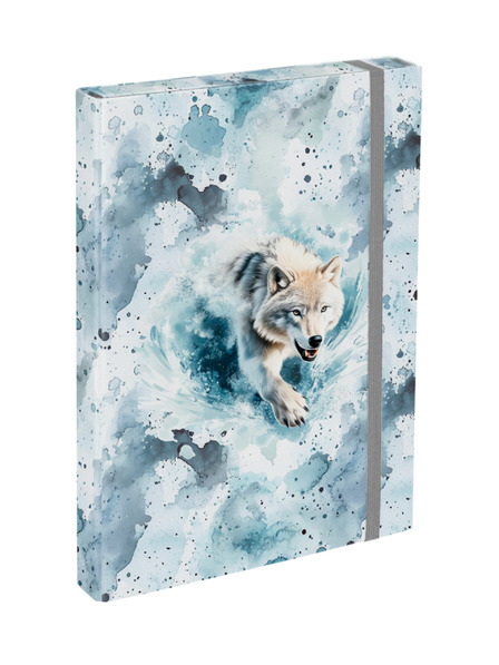 BAAGL  BAAGL Iskolai füzet borítók A4 Polar