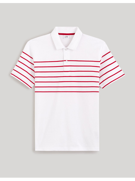Celio Fenec polo póló