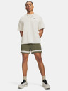 Under Armour Férfi rövidnadrágok Under Armour UA Icon SW Terry Shorts