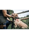 Tactical Tactical Airtag Beam Bőr Brown