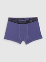 4F Fiú boxeralsó 4F (3 csomag)
