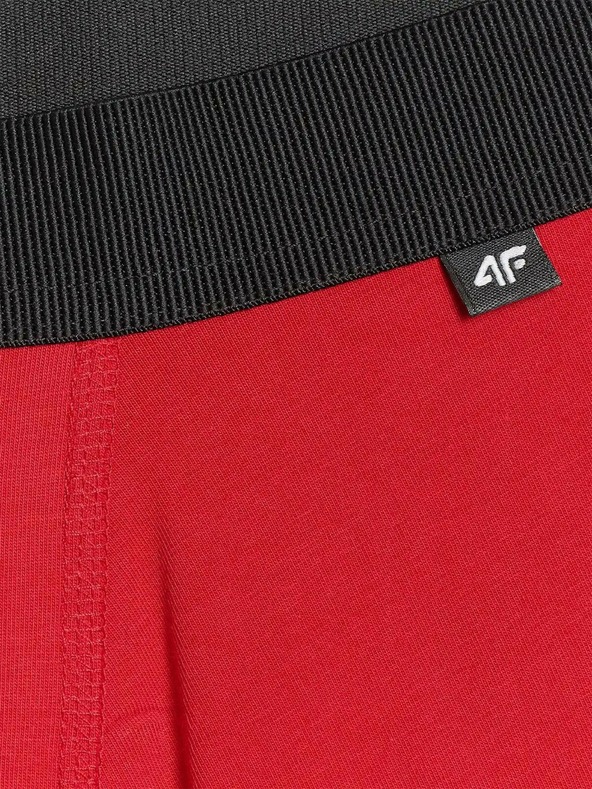 4F Férfi boxeralsó 4F (2pack)