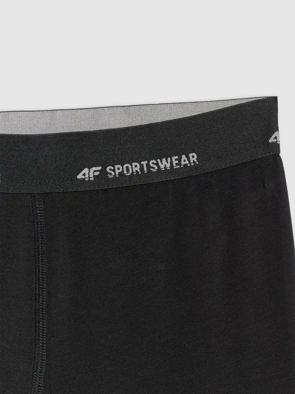 4F Férfi boxeralsó 4F Falcon (2pack)