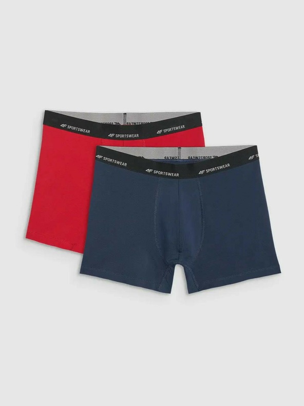4F Férfi boxeralsó 4F Falcon (2pack)