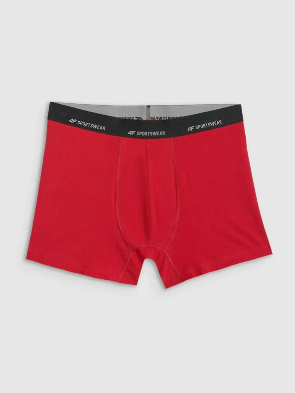 4F Férfi boxeralsó 4F Falcon (2pack)