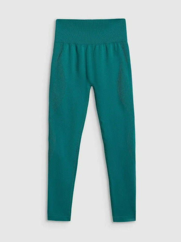 4F Női leggings 4F FNK Hawk