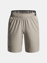 Under Armour Fiú rövidnadrágok Under Armour UA Vanish Shorts-BRN