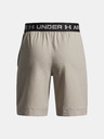 Under Armour Fiú rövidnadrágok Under Armour UA Vanish Shorts-BRN
