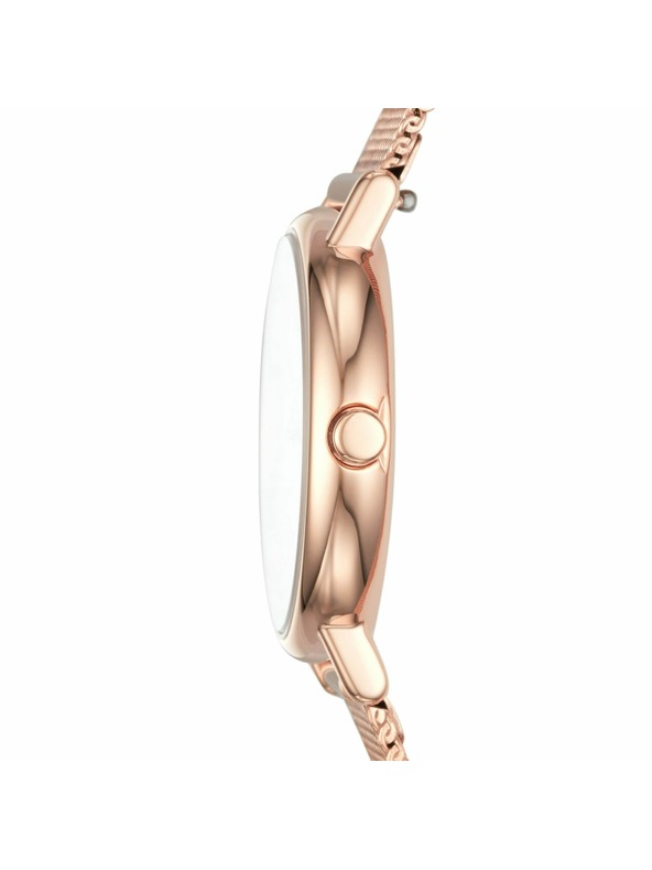 Skagen Női óra Skagen Signatur Lille Mesh SKW2694