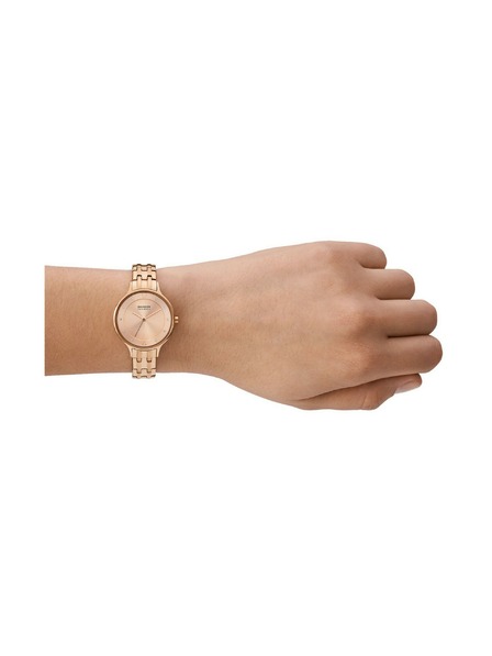 Skagen Női kerek óra Skagen Anita Lille SKW3128