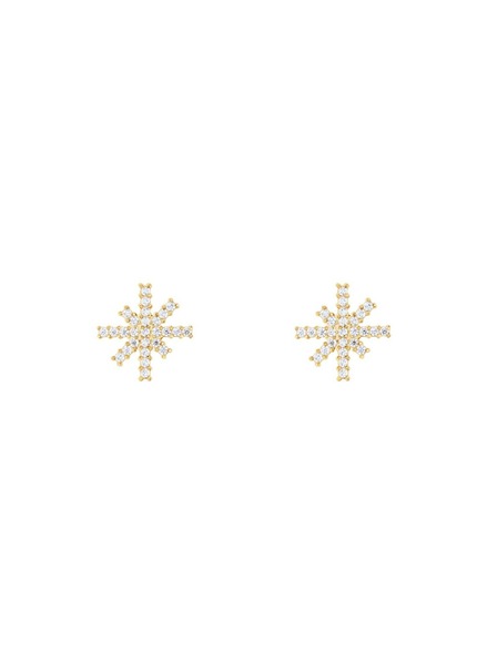 Daniel Wellington Női acél fülbevalók Daniel Wellington Mirelle Star DW00401611