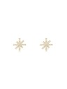 Daniel Wellington Női acél fülbevalók Daniel Wellington Mirelle Star DW00401611