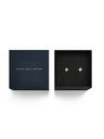 Daniel Wellington Női acél fülbevalók Daniel Wellington Mirelle Star DW00401611