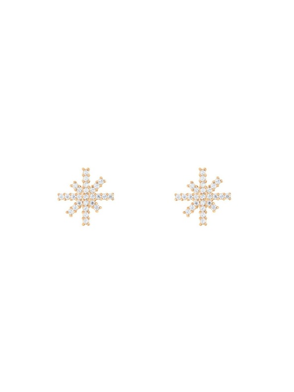 Daniel Wellington Női acél fülbevalók Daniel Wellington Mirelle Star DW00401612