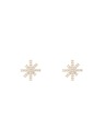 Daniel Wellington Női acél fülbevalók Daniel Wellington Mirelle Star DW00401612