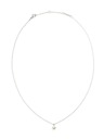 Daniel Wellington Női acél nyaklánc Daniel Wellington DW00401957