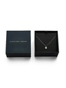 Daniel Wellington Női acél nyaklánc Daniel Wellington DW00401957