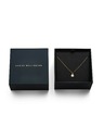 Daniel Wellington Női aranyozott nyaklánc Daniel Wellington DW00401959
