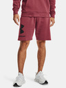 Under Armour Férfi rövidnadrágok Under Armour Rival FLC Big Logo Shorts