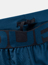 Under Armour Férfi rövidnadrágok Under Armour Vanish Woven Graphic Sts