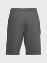 Under Armour Férfi rövidnadrágok Under Armour Rival Fleece Short